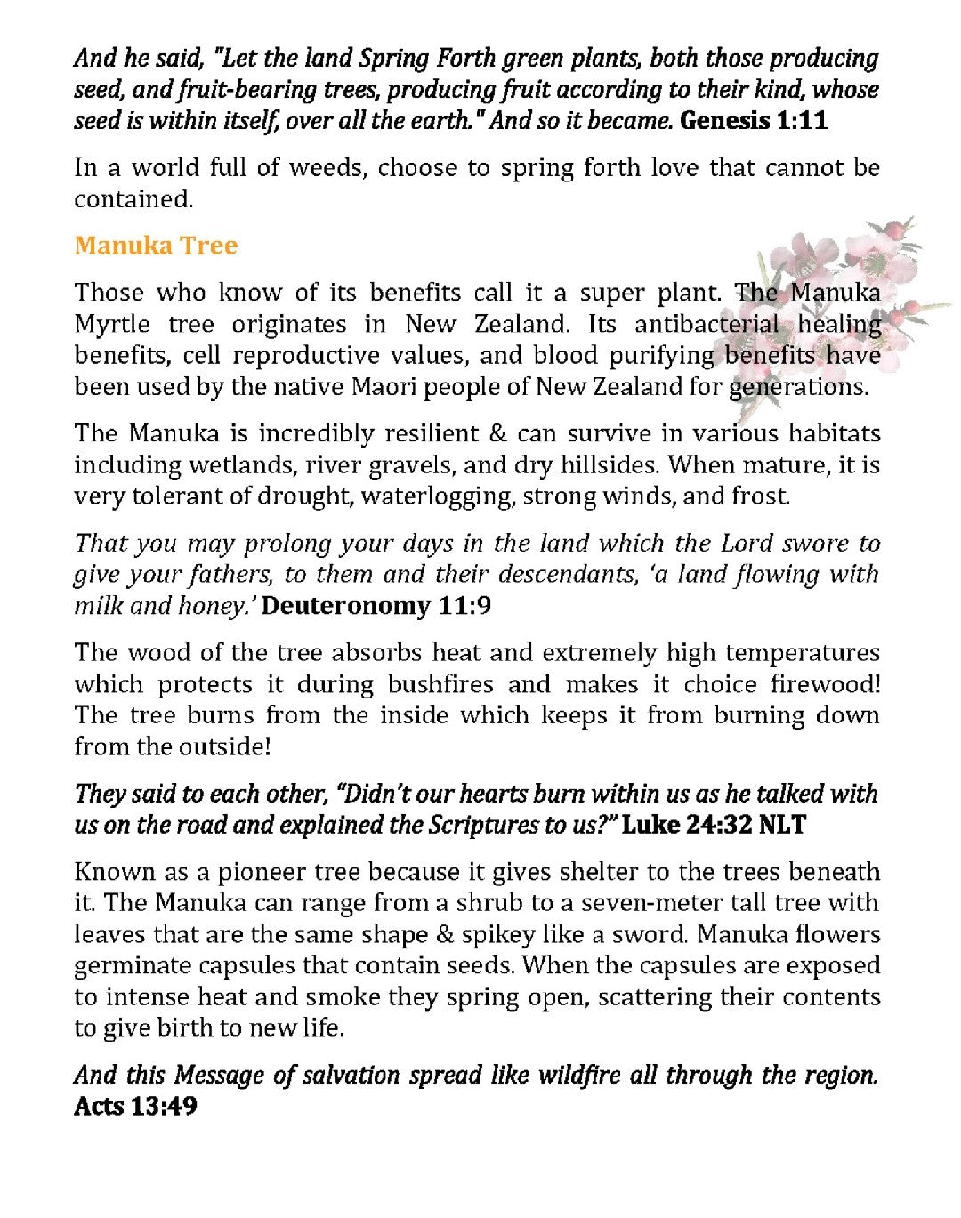 Spring Forth