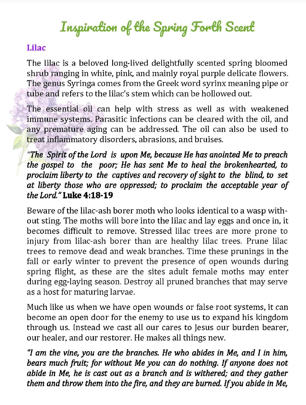 Spring Forth